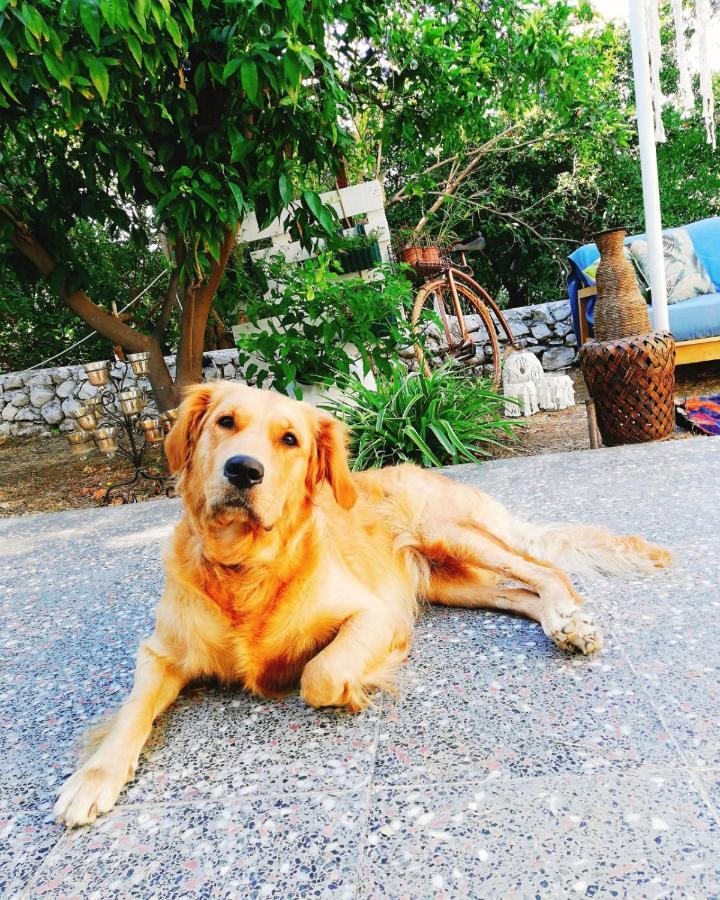 L'Onda Oda Bodrum Zewnętrze zdjęcie